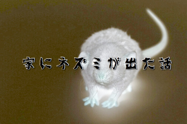 家にネズミが出た話 Yamashi Blog